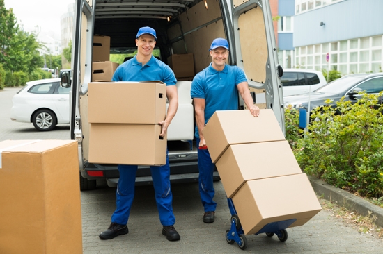 Professional Movers